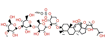 Holothurin A3